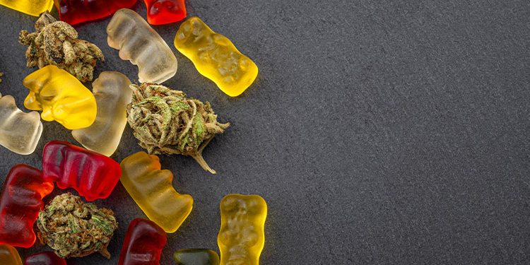 Discover these gummies