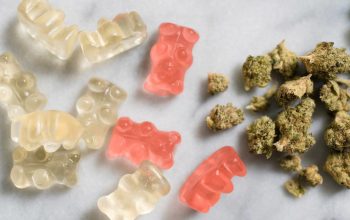 Exploring the Power of Delta 8 Gummies: A Guide to Relaxation